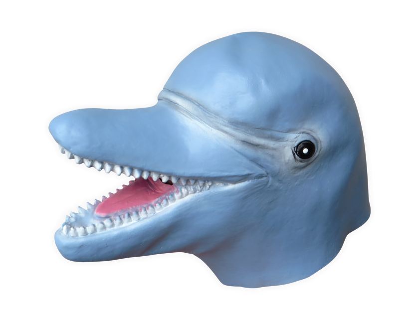 Dolphin Mask - Click Image to Close