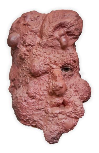Mutant Face Horror Mask - Click Image to Close