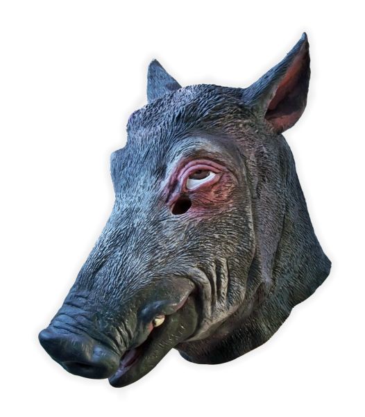 Wild Boar Mask - Click Image to Close