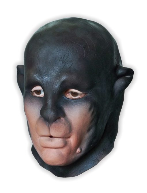 Black Cat Animal Mask - Click Image to Close