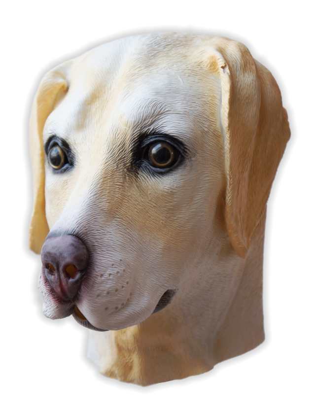 Hunde Maske aus Latex Golden Labrador Retriever - zum Schließen ins Bild klicken