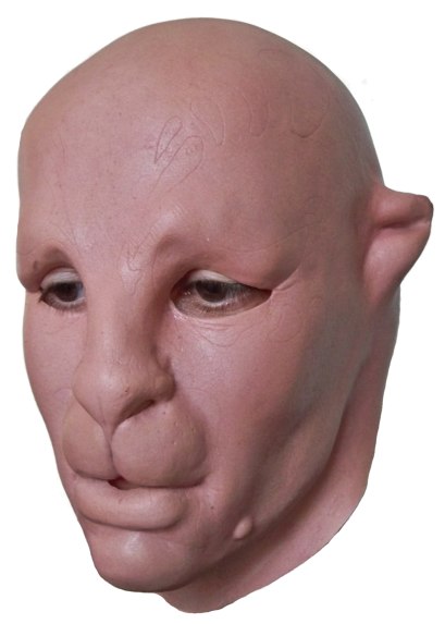 Fancy Dress Mask 'Cat Face' - Click Image to Close