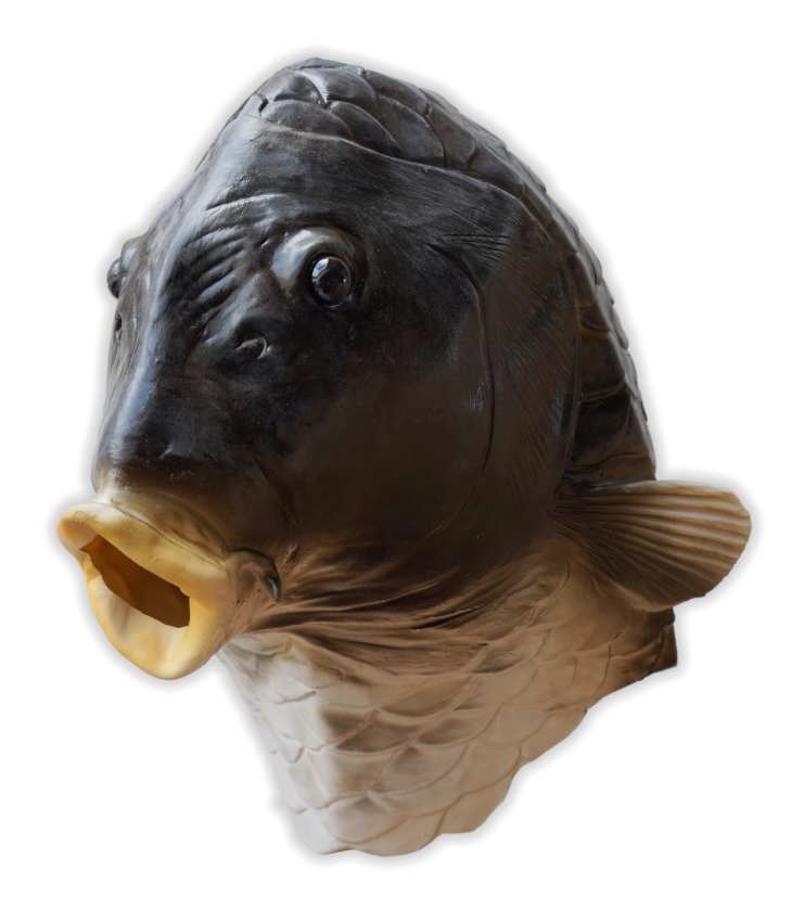 Fisch Maske aus Latex - zum Schließen ins Bild klicken
