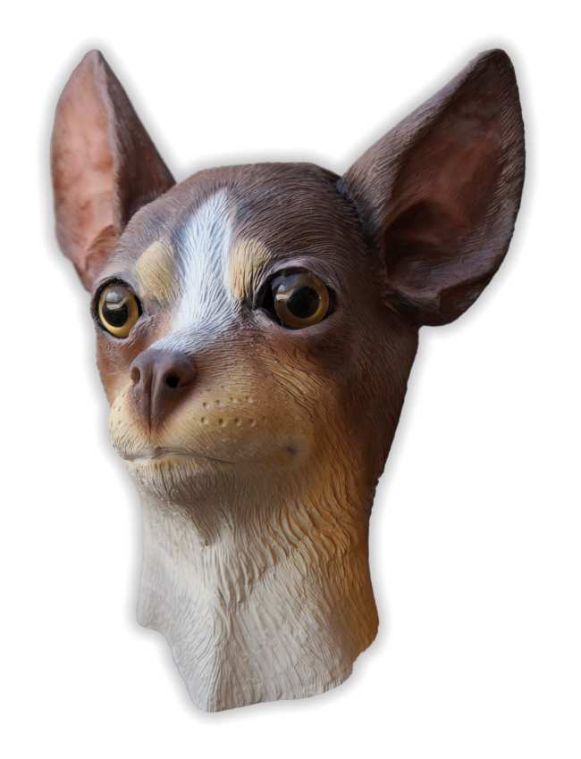 paciente hielo Travieso Mascara Perro Chihuahua Latex : Mask-Shop.com