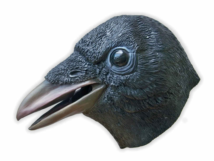 Masque Corbeau Noir en Latex - Cliquez sur l'image pour la fermer