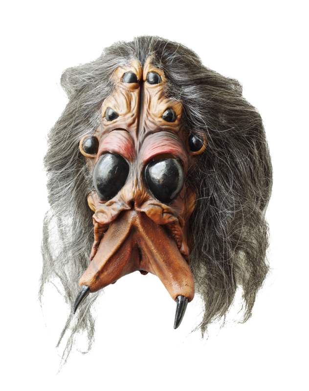 Tarantel Spinnen Maske