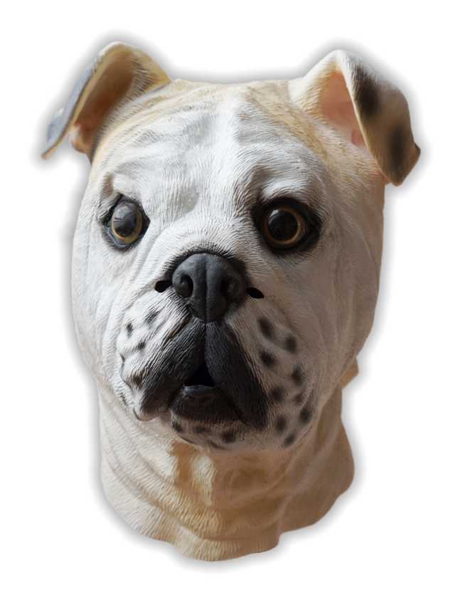 Bulldog Mask Latex - Click Image to Close