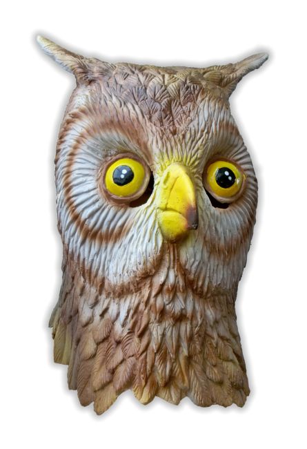 Owl Mask - Click Image to Close