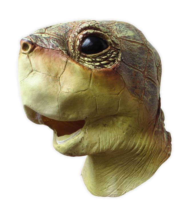 Turtle Mask - Click Image to Close