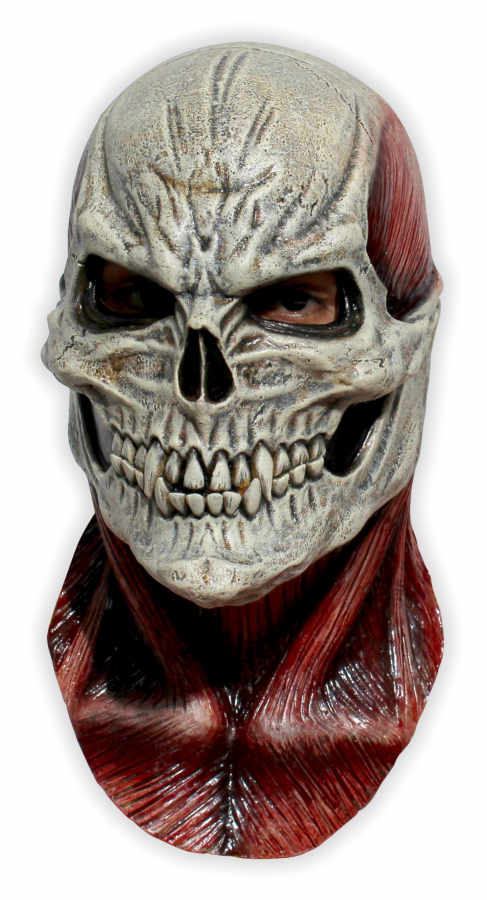 Bloody Skull Mask - Click Image to Close