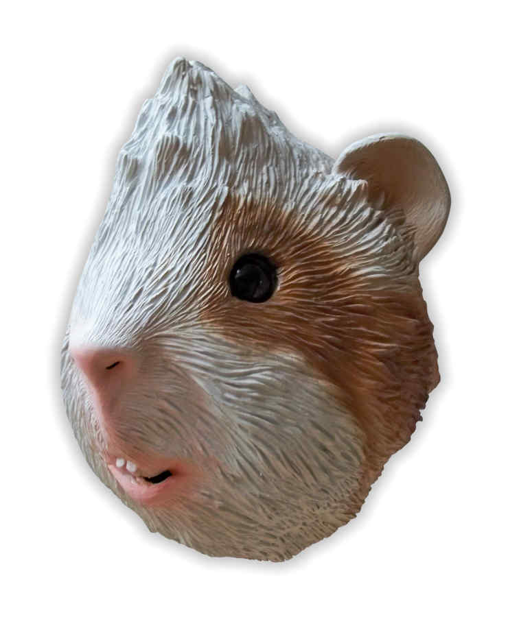 Masque Cochon d'Inde en Latex - Cliquez sur l'image pour la fermer